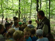 Edukacja leśna uczniów szkoły podstawowej